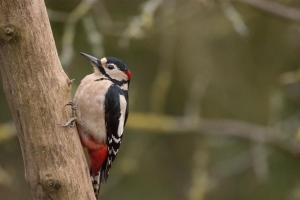 wildlife sightings 9/12/24